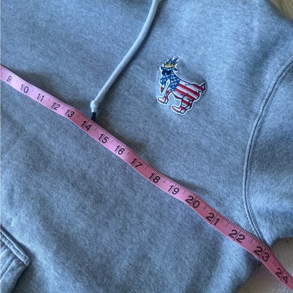 Like new GOAT USA size M Men's Gray Hoodie with Americana Goat Embroidered Patch - Picture 8 of 13